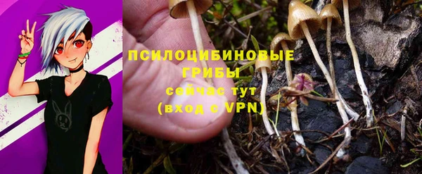 кокаин Новодвинск